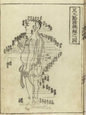 Expression des quatorze méridiens - Page tirée d'un ouvrage de la dynastie Ming